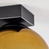 Koyoto  Hanger Glas 15 cm Goud, Duidelijk, 3-lichts