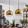Koyoto  Hanger Glas 30 cm Goud, Duidelijk, 2-lichts