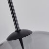 Koyoto  Hanger Glas 30 cm Duidelijk, Rookkleurig, 2-lichts