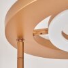 Kimba Uplighter LED Goud, 3-lichts