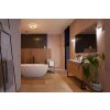 Philips Hue Xamento Plafondlamp LED Wit, 1-licht, Kleurwisselaar