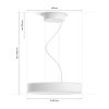 Philips Hue Enrave Hanglamp LED Wit, 1-licht, Afstandsbediening