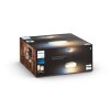 Philips Hue Enrave Hanglamp LED Wit, 1-licht, Afstandsbediening
