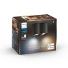 Philips Hue Pillar Plafondlamp LED Zwart, 2-lichts, Afstandsbediening