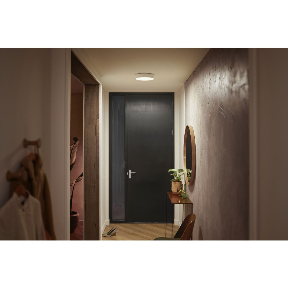 Philips Hue Enrave Plafondlamp LED Wit, 1-licht, Afstandsbediening main product photo