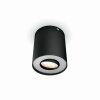 Philips Hue Pillar Plafondlamp LED Zwart, 1-licht, Afstandsbediening