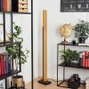 Teira Staande lamp LED Natuurlijke kleuren, Zwart, 1-licht