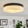 Valpedre Plafondlamp Zwart, 3-lichts