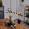 Alvarim Hanglamp LED Zwart, 1-licht