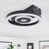 Canhoso Plafondlamp LED Zwart, 1-licht