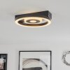 Canhoso Plafondlamp LED Zwart, 1-licht