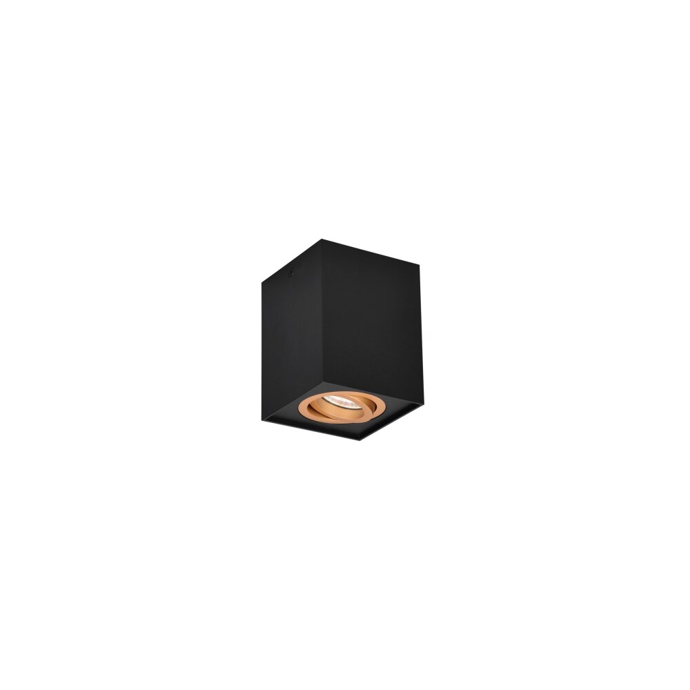 Trio Cookie Plafondlamp Goud, Zwart, 1-licht