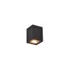 Trio Cookie Plafondlamp Goud, Zwart, 1-licht