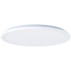 Brilliant Saltery Plafondpaneel LED Wit, 1-licht, Afstandsbediening, Kleurwisselaar