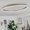 Barril Plafondlamp LED Wit, 1-licht