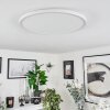 Folgares Plafondpaneel LED Wit, 1-licht