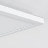 Hortinhas Plafondpaneel LED Wit, 1-licht, Afstandsbediening, Kleurwisselaar