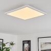 Hortinhas Plafondpaneel LED Wit, 1-licht, Afstandsbediening, Kleurwisselaar