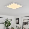 Hortinhas Plafondpaneel LED Wit, 1-licht, Afstandsbediening, Kleurwisselaar