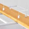 Pompu Hanglamp LED Natuurlijke kleuren, Wit, 1-licht