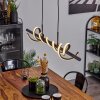 Alvarim Hanglamp LED Zwart, 1-licht