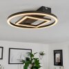 Canhoso Plafondlamp LED Zwart, 1-licht