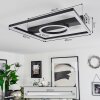 Canhoso Plafondlamp LED Zwart, 1-licht