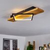 Pompu Plafondlamp LED Natuurlijke kleuren, Zwart, 1-licht