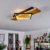 Pompu Plafondlamp LED Natuurlijke kleuren, Zwart, 1-licht