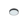 Trio Waco Plafondlamp LED Zwart, 1-licht