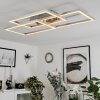 Relous Plafondlamp LED roestvrij staal, 3-lichts, Afstandsbediening, Kleurwisselaar