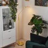 Huallilemu Staande lamp LED Messing, 1-licht