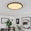 Hortinhas Plafondpaneel LED Zwart, 1-licht, Afstandsbediening, Kleurwisselaar