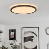 Sasinhosa Plafondpaneel LED Zwart, 1-licht, Afstandsbediening