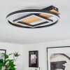 Taboneira Plafondlamp LED Natuurlijke kleuren, Zwart, Wit, 1-licht