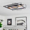 Taboneira Plafondlamp LED Natuurlijke kleuren, Zwart, Wit, 1-licht