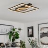 Taboneira Plafondlamp LED Natuurlijke kleuren, Zwart, Wit, 1-licht