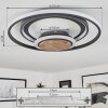 Kassambene Plafondlamp LED Antraciet, Natuurlijke kleuren, 1-licht