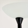 Phong Uplighter LED Zwart, 2-lichts