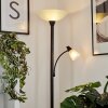 Phong Uplighter LED Zwart, 2-lichts