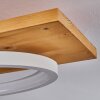 Pompu Plafondlamp LED Natuurlijke kleuren, Wit, 1-licht