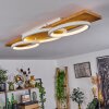 Pompu Plafondlamp LED Natuurlijke kleuren, Wit, 1-licht