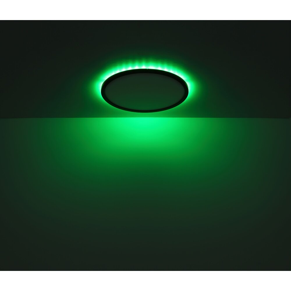 Globo SAPANA Buitenshuis plafond verlichting LED Zwart, 1-licht, Afstandsbediening