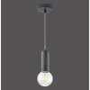 Leuchten Direkt TURN ME Hanglamp Zwart, 1-licht