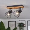 Tros Plafondlamp Natuurlijke kleuren, Zwart, 2-lichts