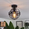 Freguesia Plafondlamp Zwart, 1-licht
