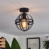 Freguesia Plafondlamp Zwart, 1-licht