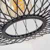 Banleou Hanger Zwart, 1-licht