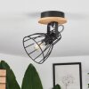 Tros Plafondlamp Natuurlijke kleuren, Zwart, 1-licht