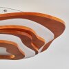Krieng Plafondlamp LED Natuurlijke kleuren, Wit, 1-licht, Afstandsbediening